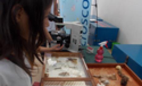 Foto: Waldir Aperibé/ Acervo Fiocruz Menina observa coleções entomológicas
