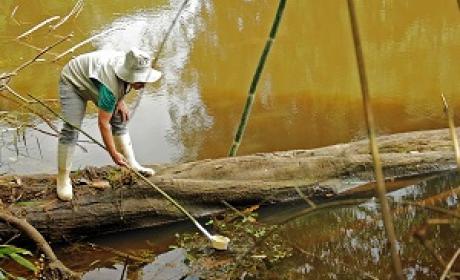 Foto: Jordi Sánchez Ribas Pesquisador colhendo larvas de mosquitos em um rio