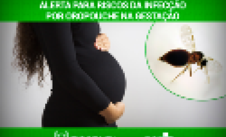 Mulher grávida com as mãos na barriga