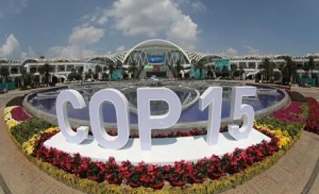Foto: Getty Images COP 15