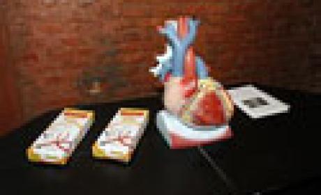 Detalhe da exposição. Uma arte de um coração sobre uma bancada