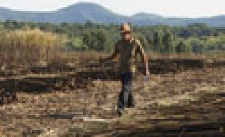 Imagem do filme 'Linha de corte' (Reprodução) Cortador de cana em plantação