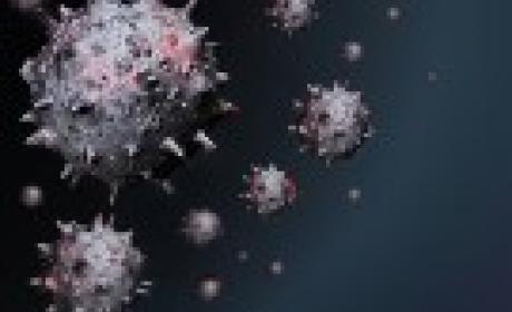 Imagem: divulgação Coronavírus visto por microscópio
