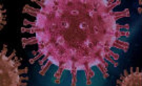 Imagem: Ensp Coronavírus visto por microscópio