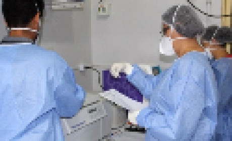 Foto: Fiocruz Rondônia Pesquisadores trabalhando