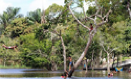 Imagem: divulgação Rio cercado por um mangue