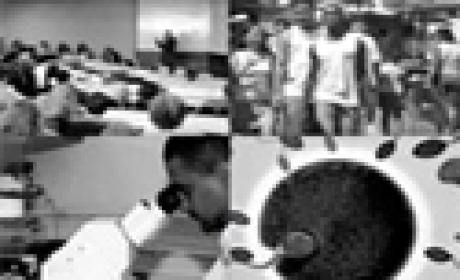 Ao todo, são 32 cursos de pós-graduação stricto sensu relacionados a área de saúde pública Mosaico de imagens dos cursos de inverno