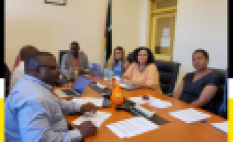 Imagem: Campus Virtual Fiocruz Representantes da Fiocruz e do Instituto Nacional de Saúde de Moçambique sentados ao redor de uma mesa