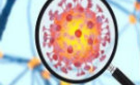 Imagem: Unicamp Virus da covid-19 visto por microscópio