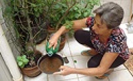 Mulher cuidado de vaso de plantas
