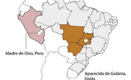 Imagem: IOC/Fiocruz Mapa do Brasil