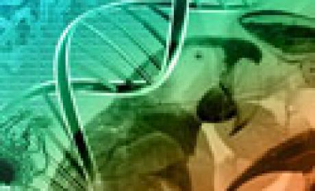Imagens de animais e organismos articulados a estrutura de DNA