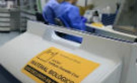 Foto: Josué Damacena Amostra sendo analisada por duas pesquisadoras