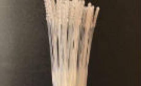 Produção é feita em parceria com a AstroScience (Imagem: Fiocruz Minas) Hastes produzidas em impressoras 3D