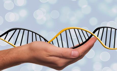 Imagem com fundo azul. Ao centro uma mão segurando uma construção de DNA