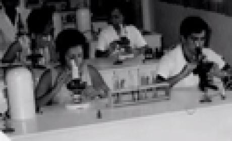 Reprodução Foto antiga mostra pessoas olhando em microscópio