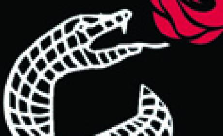 Reprodução da capa Desenho estilizado mostra um lagarto engolindo uma rosa