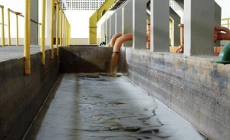 Foto: Divulgação / Fiocruz Minas