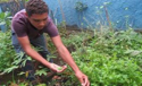 Foto: Linha Direta Estudante cultivando na horta