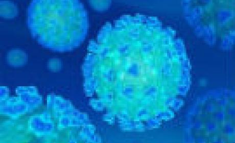 Ao todo, 79 genomas do Sars-CoV-2 foram sequenciados no estado (Imagem: Mackesy Nascimento) Coronavírus visto por microscópio
