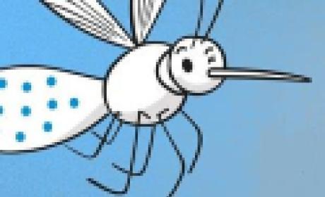 Imagem: divulgação Desenho do Aedes Aegyti