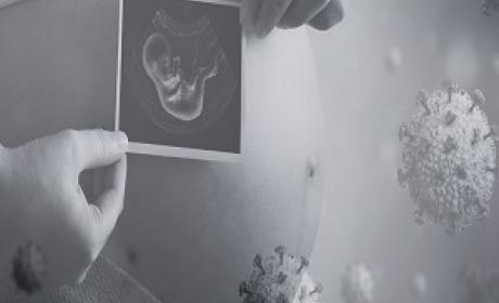Estudo contou com a participação de pesquisadores da Fiocruz Bahia (Imagem: Cidacs/Fiocruz Bahia) Mãe segurando a imagem do bebê na barriga feita através de ultrasonografia
