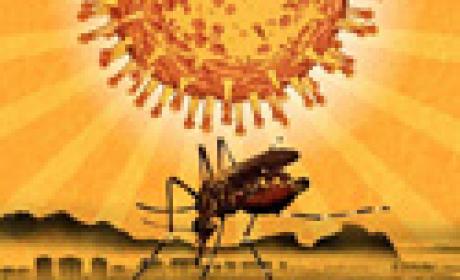 Imagem: CCS Desenho de um mosquito e da bactéria