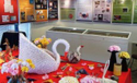 Imagem: IOC Insetos e origamis de insetos na exposição