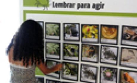 Imagem: COC Menina visitando a exposição