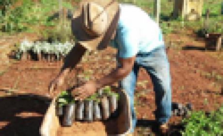 Foto: Farmanguinhos Agricultor trabalhando