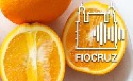 Imagem: Divulgação Laranjas cortadas e a marca do podcast sobreposta