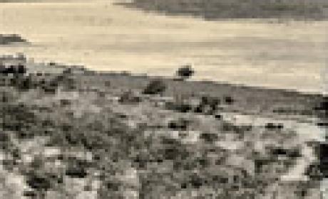 Imagem: COC Foto antiga do Rio São Francisco