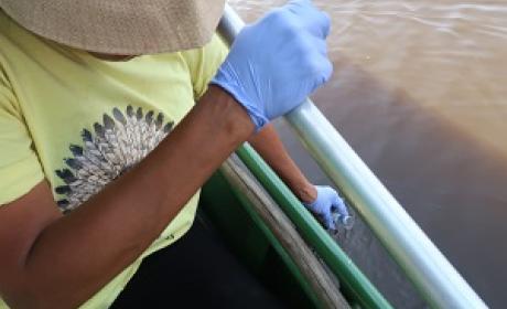 Foto: Fiocruz Amazônia