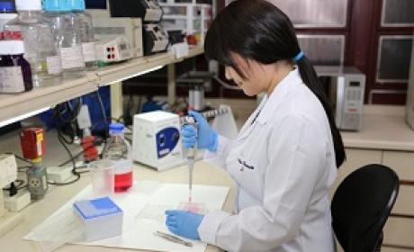 Foto: Fiocruz Minas Pesquisadora trabalhando no laboratório