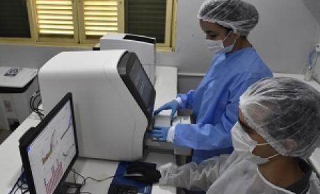 Foto: Rodrigo Mexas Pesquisadores trabalhando na análise de dados em computadores