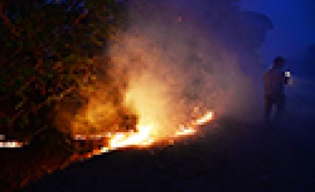 Foto: Peter Iliciev Webinário Incêndios e Saúde no Pantanal - Impactos, desafios e oportunidades
