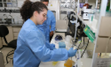 Foto: Roney Coimbra (Fiocruz Minas) Pesquisadora trabalhando no laboratório da Fiocruz Minas