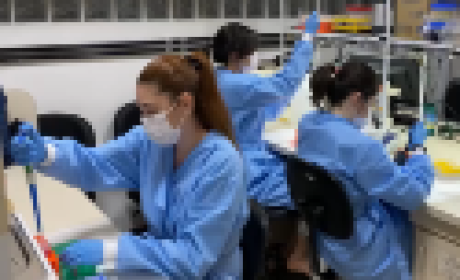 Foto: Fiocruz Minas Pesquisadores trabalhando