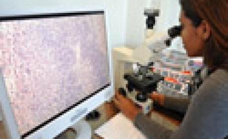 Foto: Peter Ilicciev Mulher pesquisa em microscópio, à direita