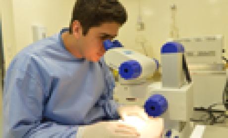 Foto: Gutemberg Brito Pesquisador olha em microscópio