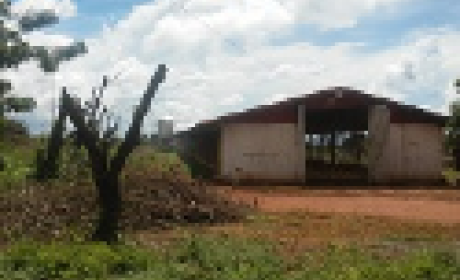 Imagem: Acervo LHR/IOC Galpão rural