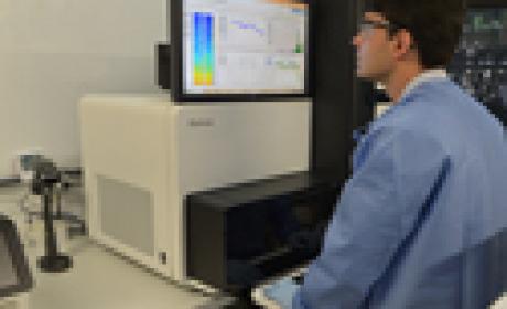 A tecnologia disponível na Plataforma de Sequenciamento de Alto Desempenho do IOC contribuiu para decifrar o genoma da linhagem de B. pertussis isolada no Brasil. Foto: Gutemberg Brito Imagem de homem olhando para tela de computador
