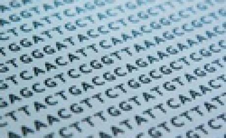 Imagem: Agência Fiocruz Imagem de códigos computacionais