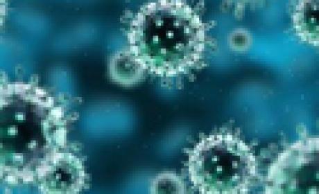 Vírus h1n1 visto pelo microscópio