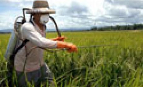 O Brasil é o maior consumidor mundial de agrotóxicos (Foto:CCS) Foto de agricultor aplicando agrotóxicos em plantação