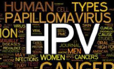 Imagem com as frases HPV e papiloma vírus