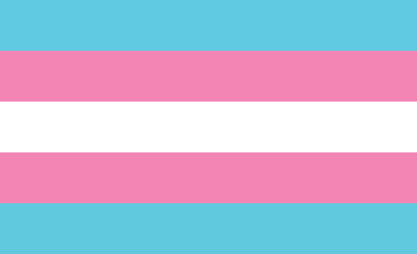 imagem com as cores azul, rosa e branco na horizontal, representando a bandeira do movimento trans