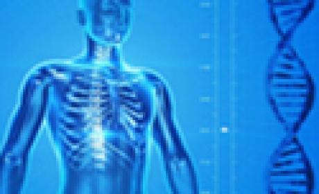 Foto: Portal da Saúde/ Ministério da Saúde Imagem em tons azuis mostra reprodução de um protótipo de corpo humanos, com estrutura de DNA ao lado