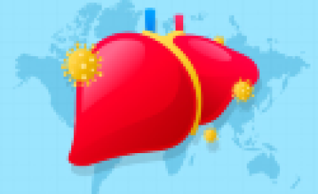 Imagem: Freepik Desenho de um fígado