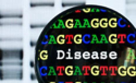 Recorte do cartaz do evento, com alusão a sequências de DNA